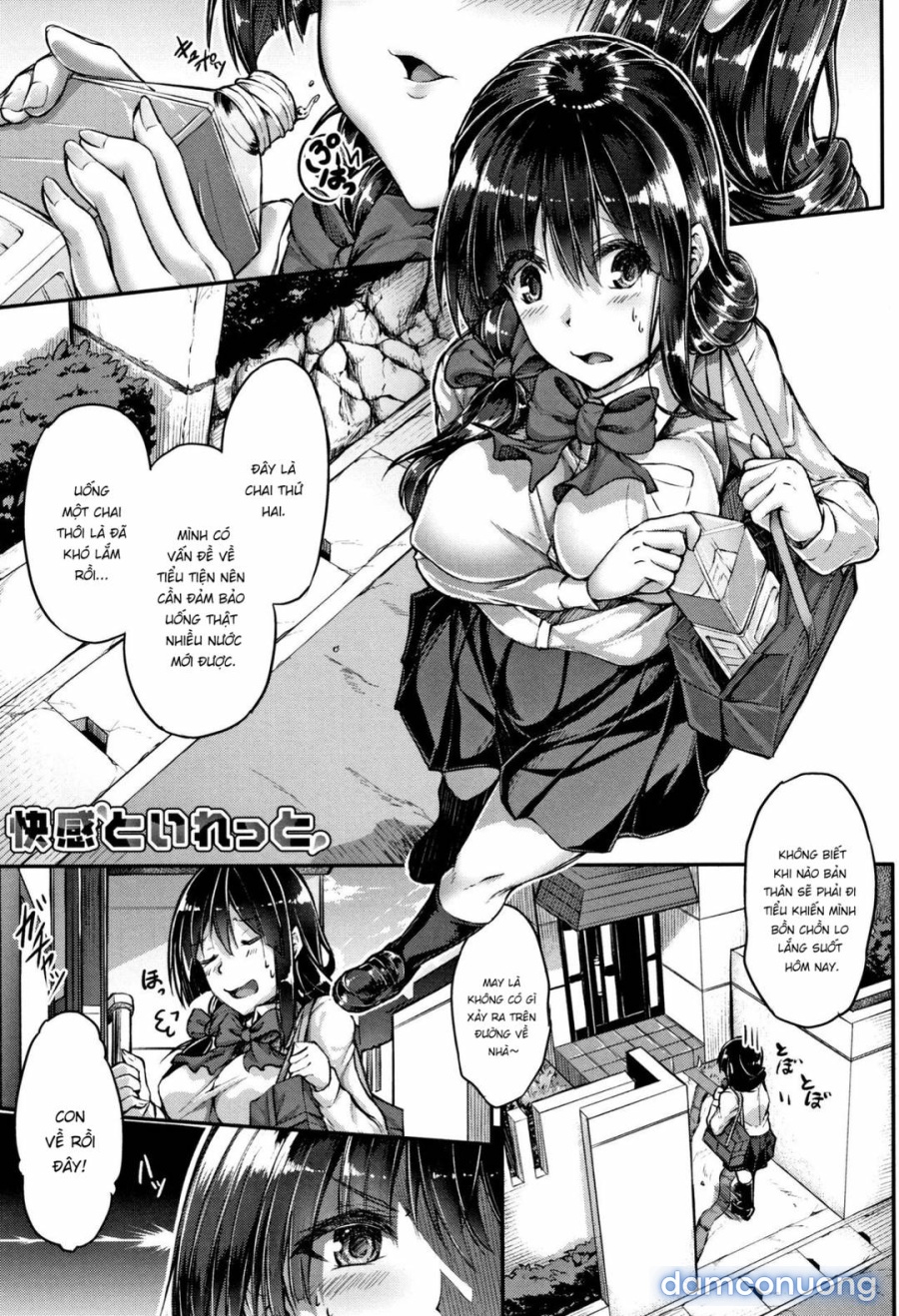Kairaku Toilet 