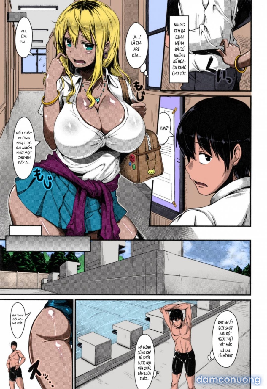Abazure Summer 
