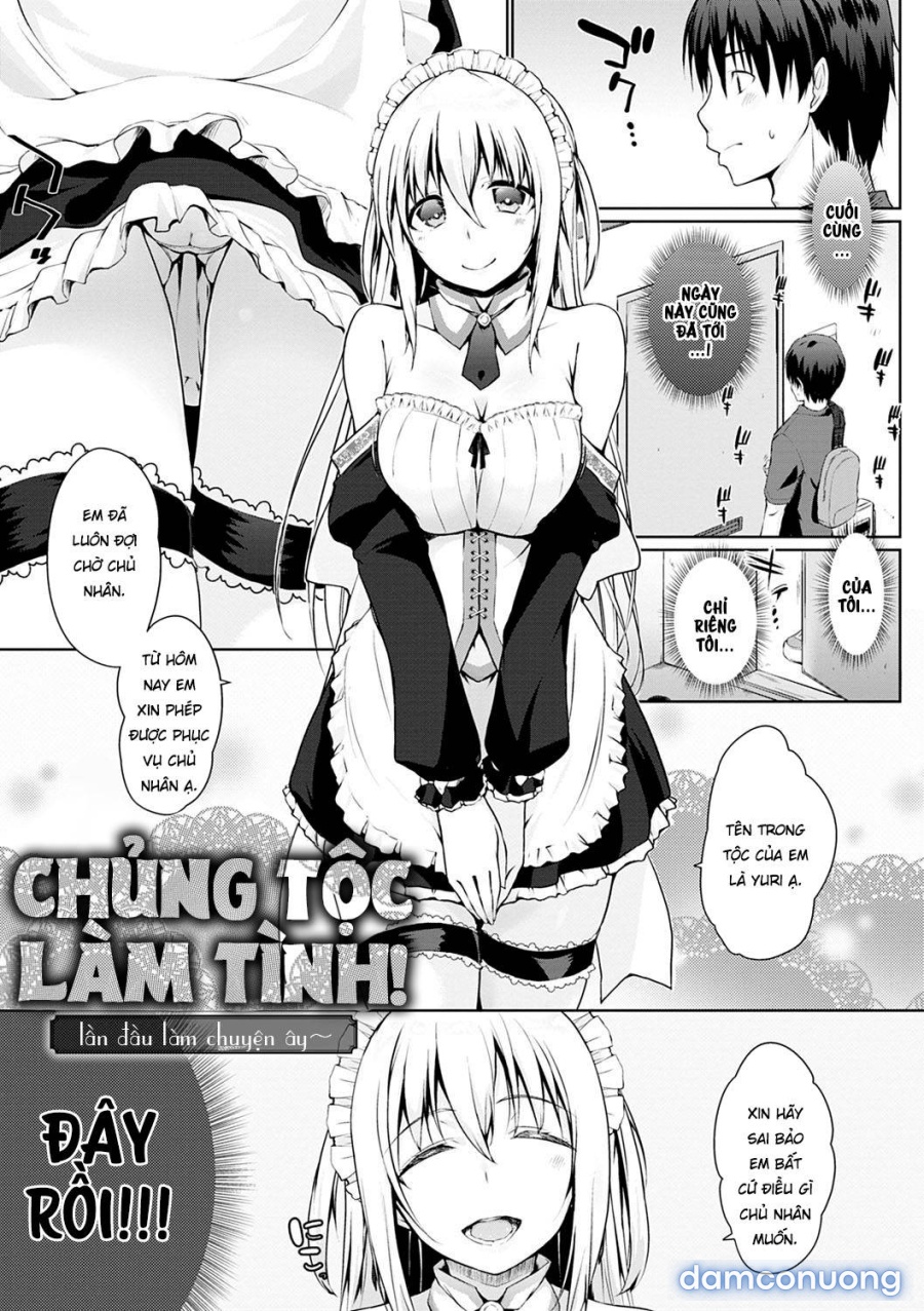 Chủng Tộc Làm Tình 
