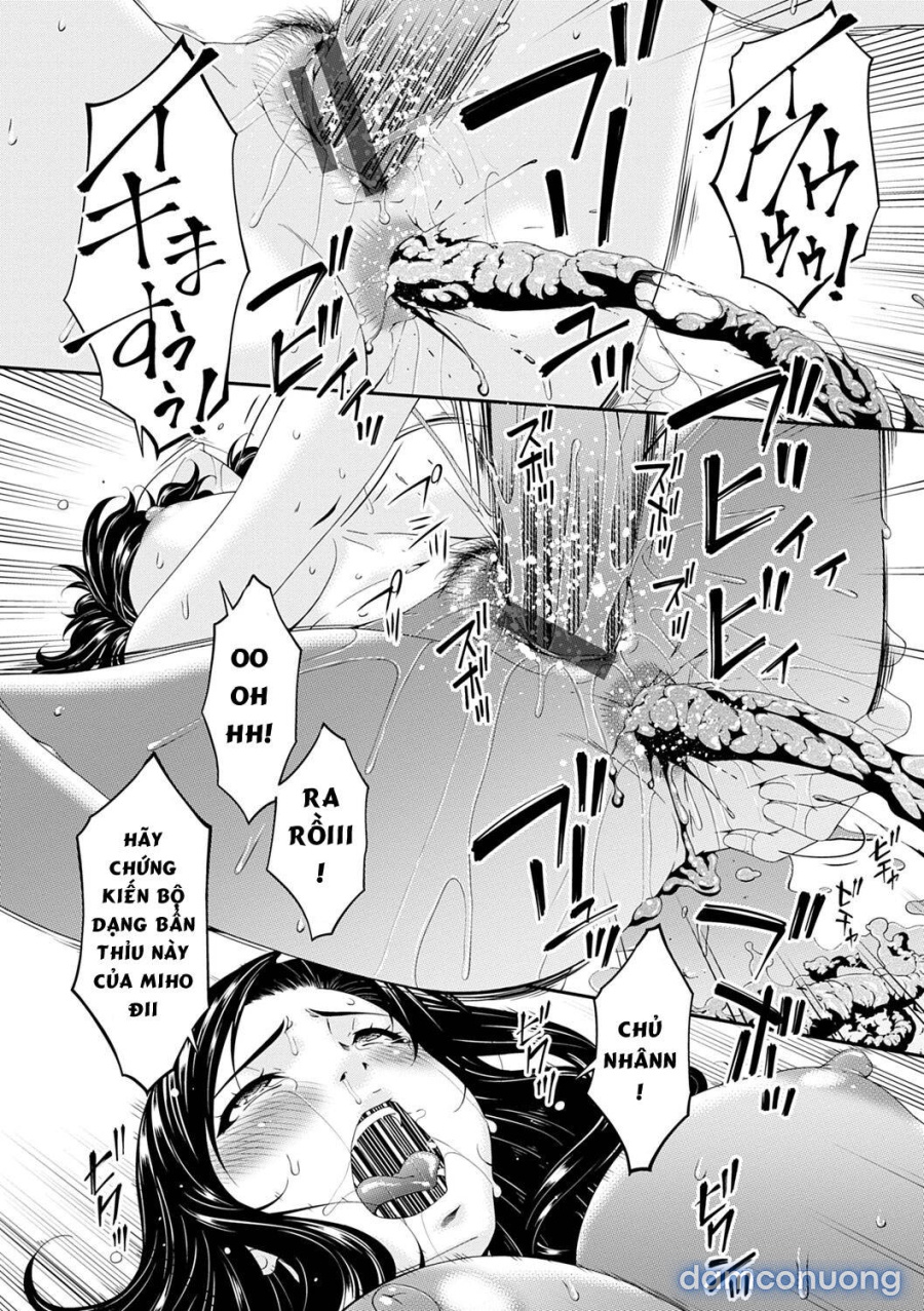 Gokujou Seikatsu 