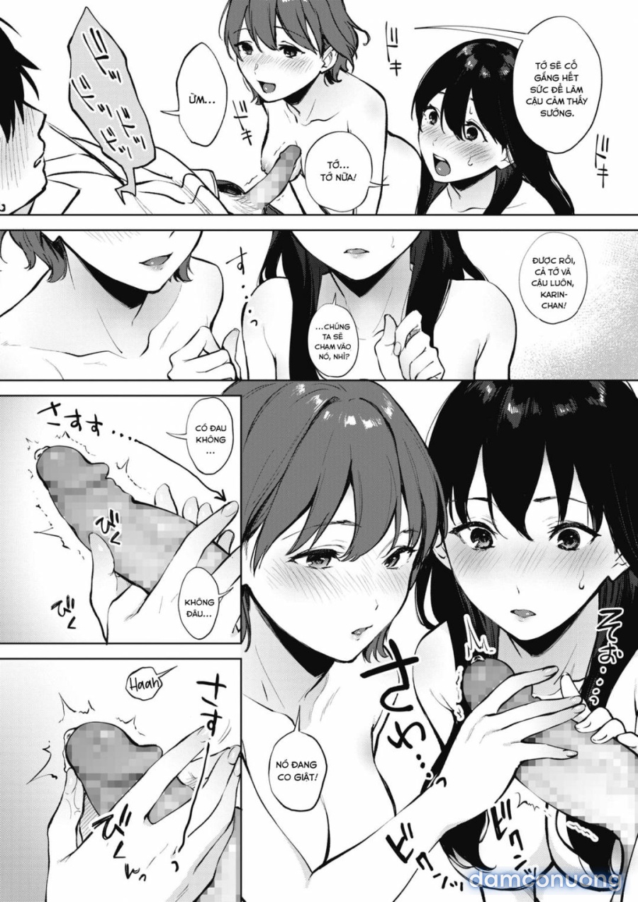 Share Loveru 