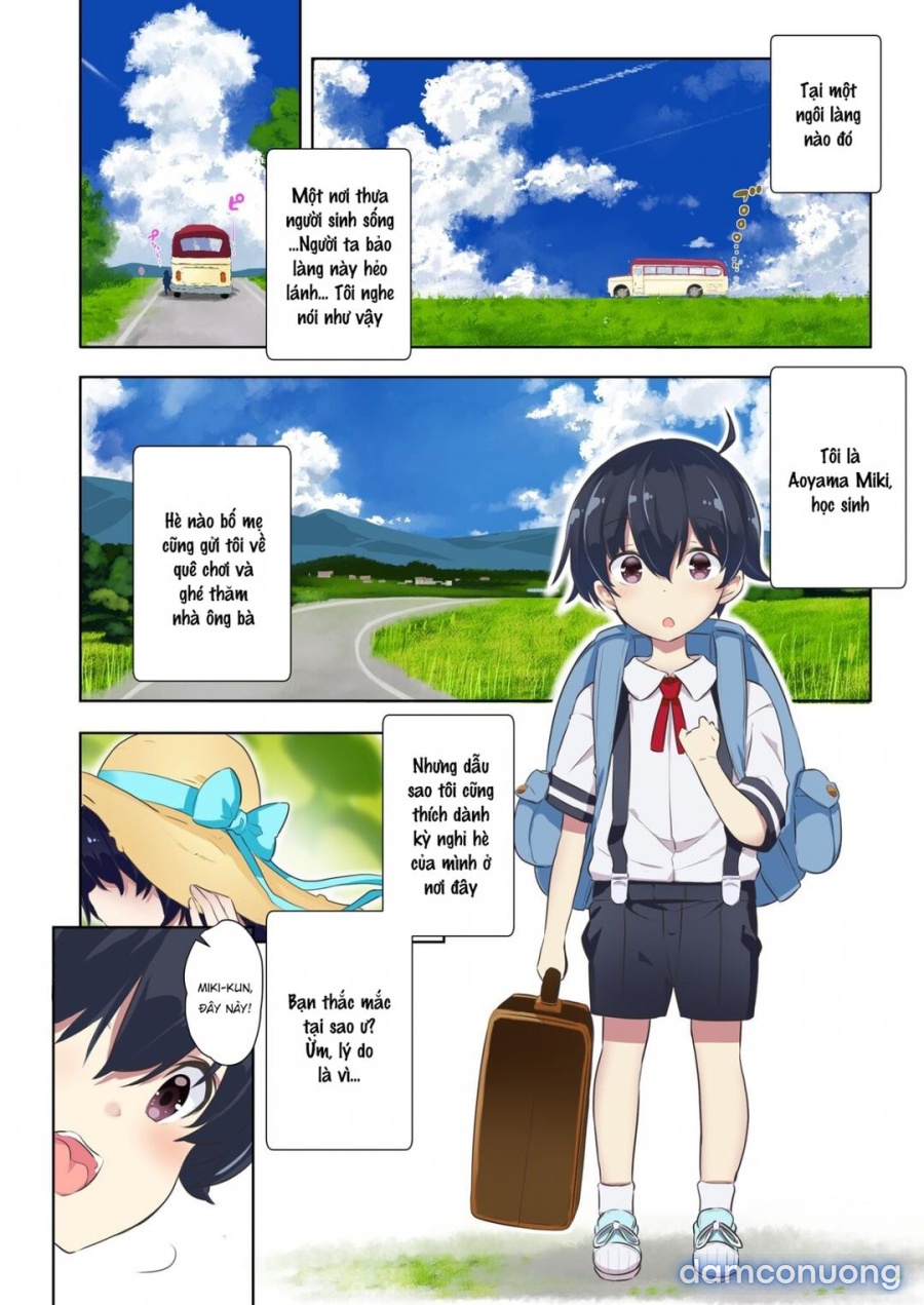 Cô chị họ 