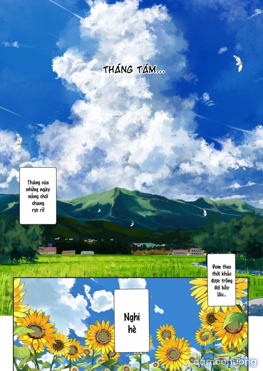 Cô chị họ 
