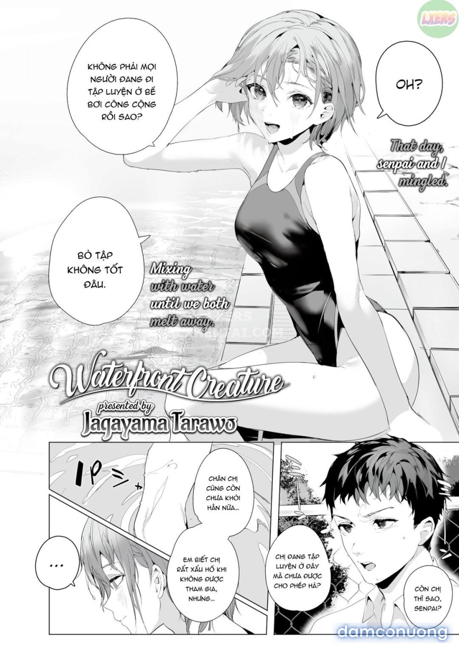 Waterfront Creature 