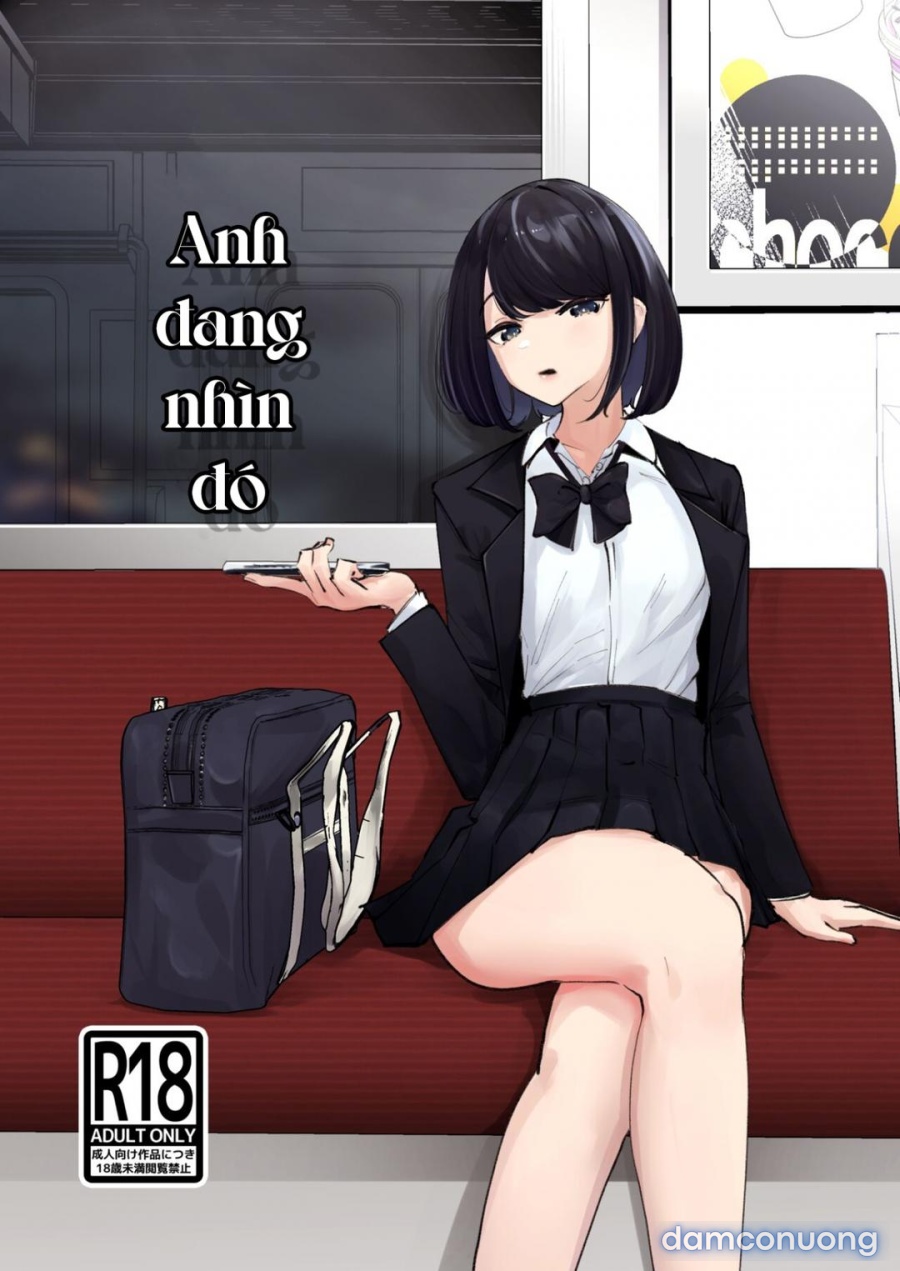 Chú cứ nhìn chằm chằm 