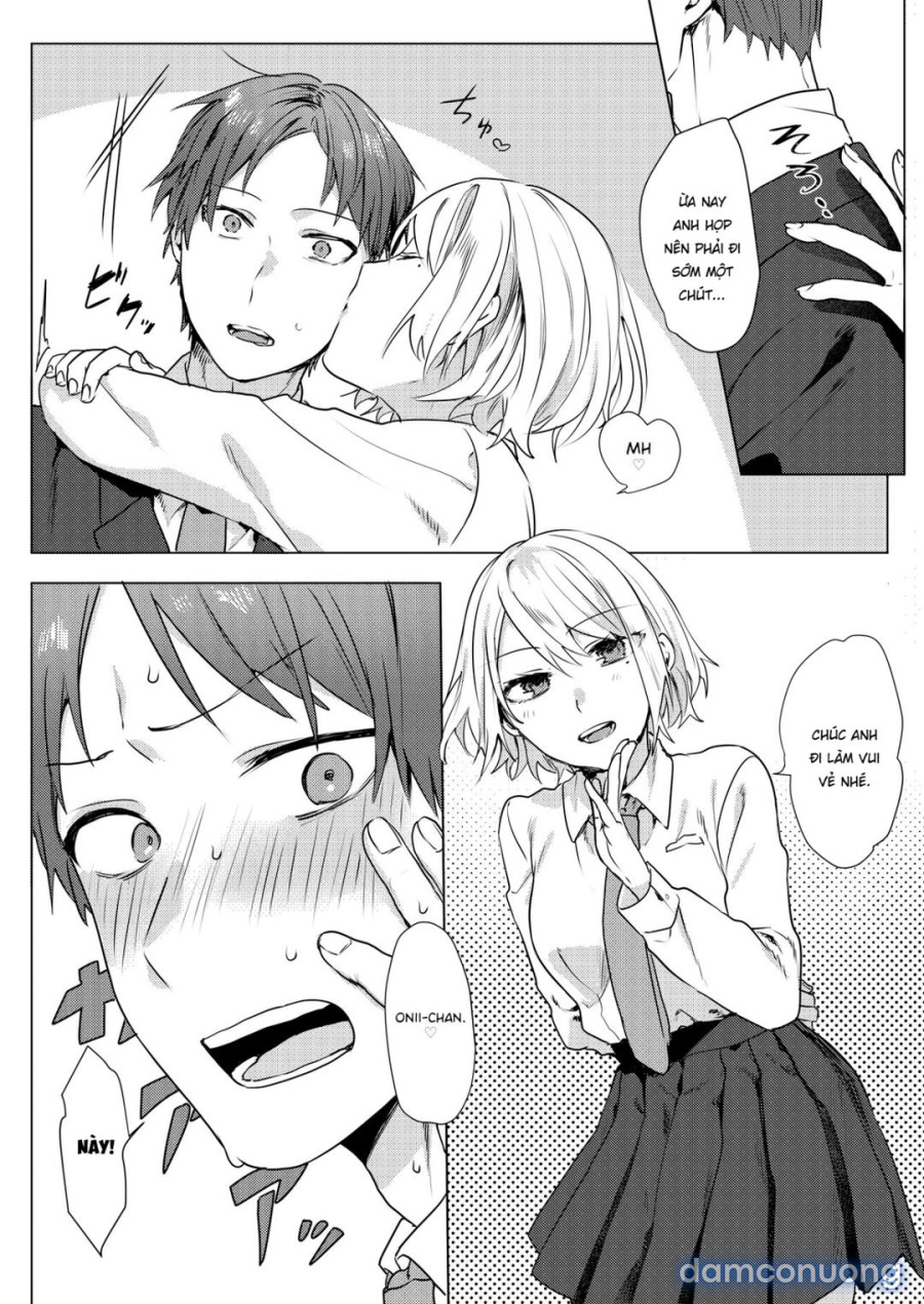 Kế Hoạch Quyến Rũ Anh Trai 