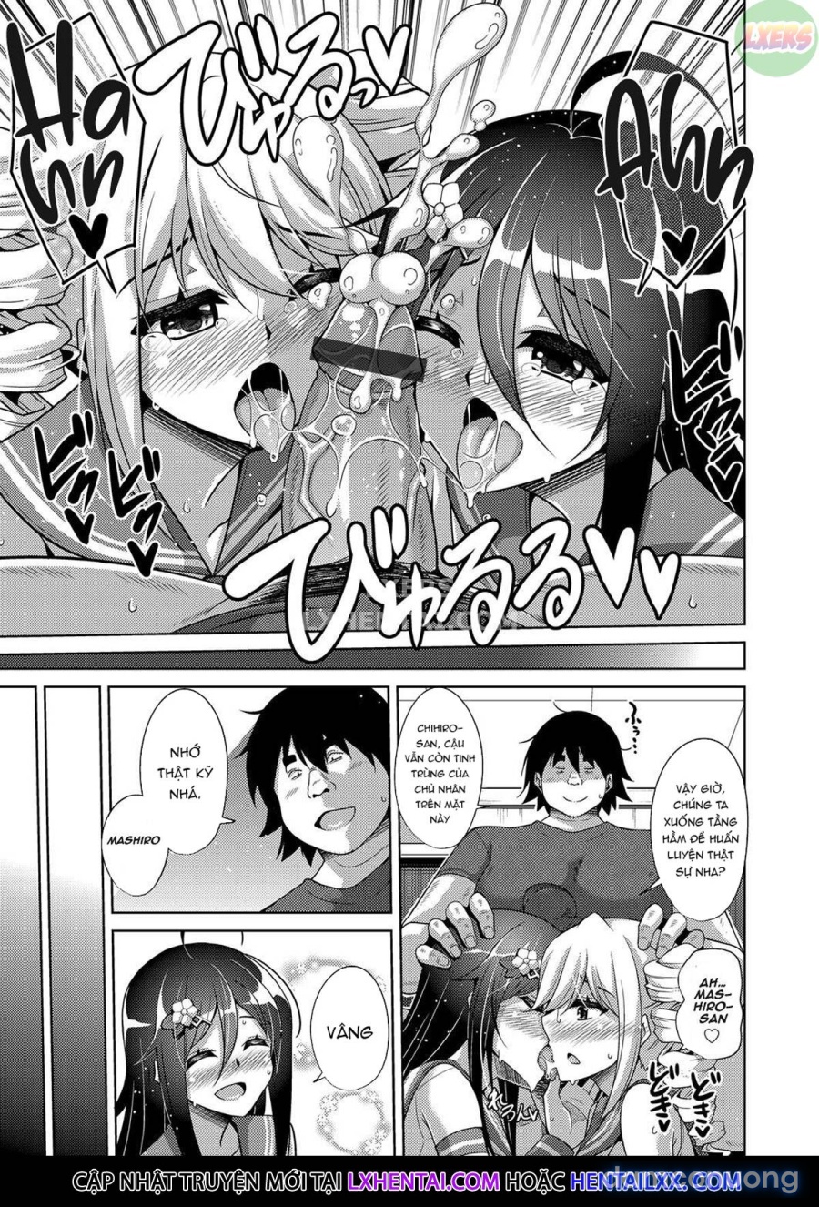 Kosho ni Umoreta Mesu no Hana 
