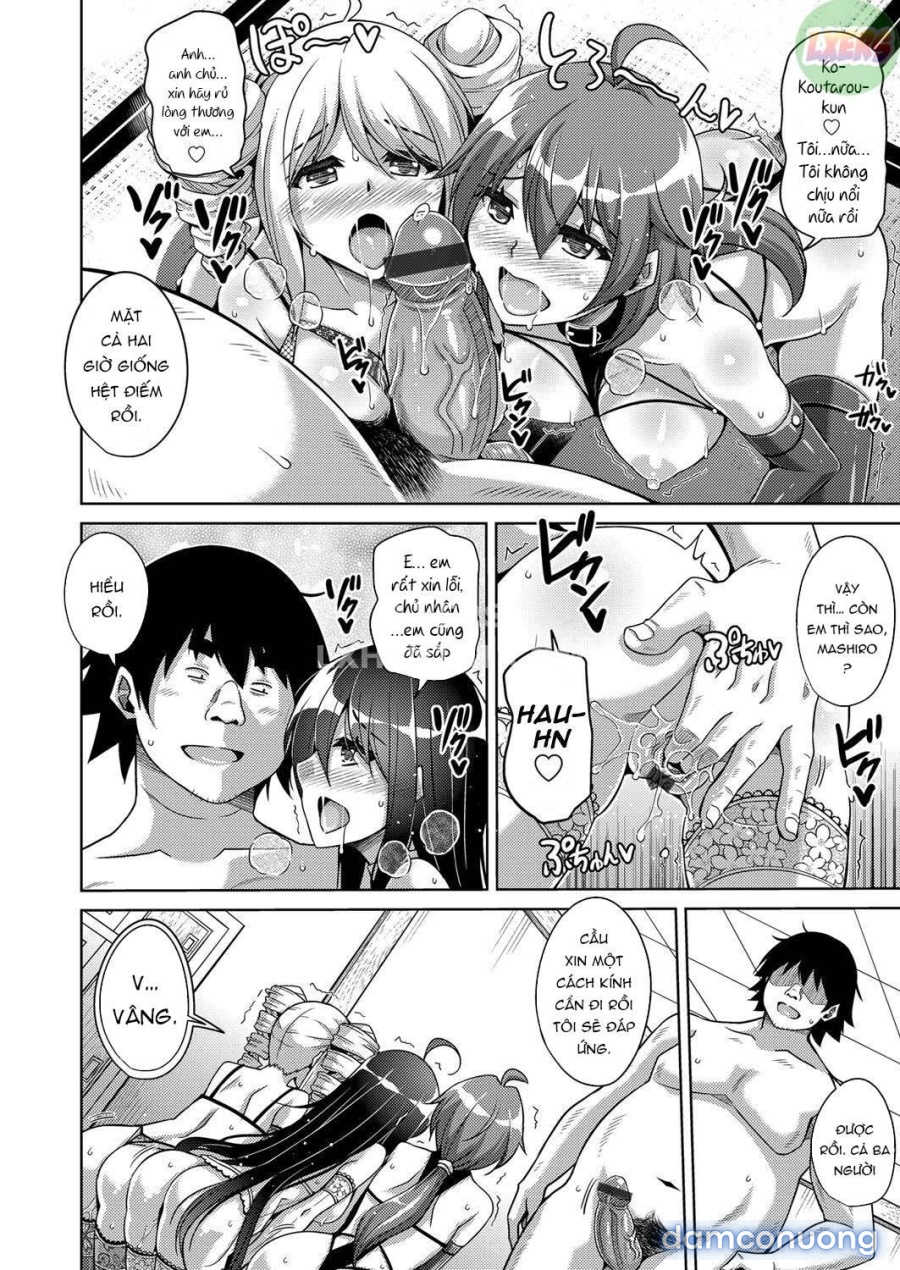 Kosho ni Umoreta Mesu no Hana 