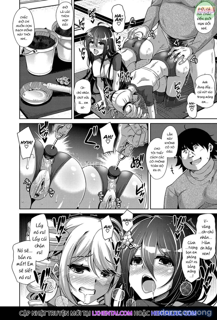 Kosho ni Umoreta Mesu no Hana 