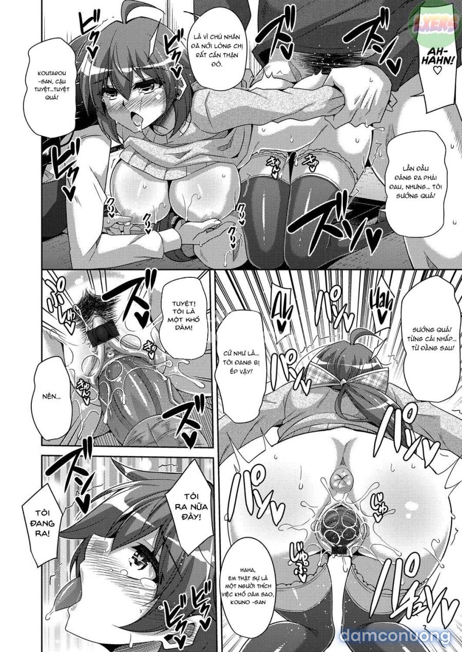 Kosho ni Umoreta Mesu no Hana 