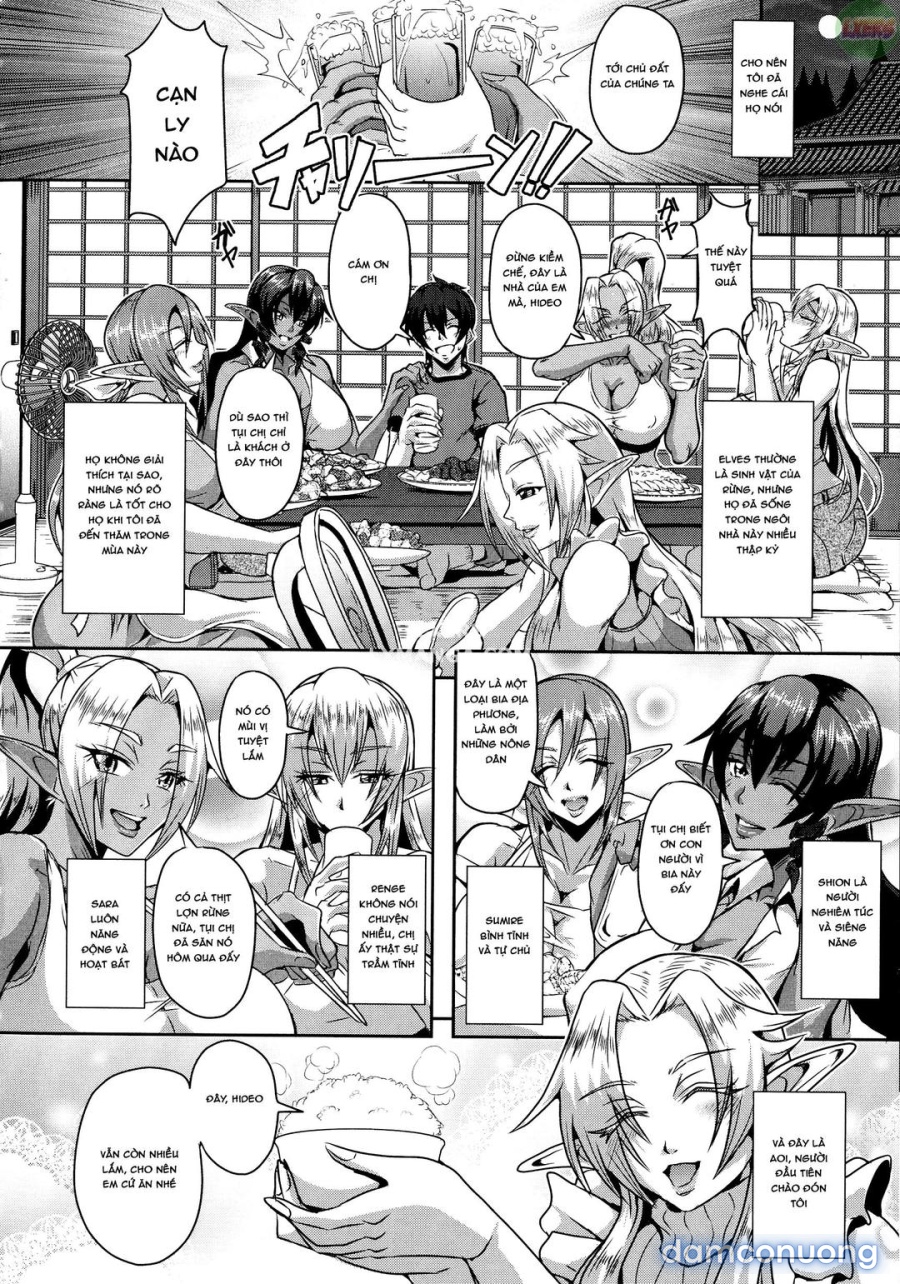 Elf Harem Story 