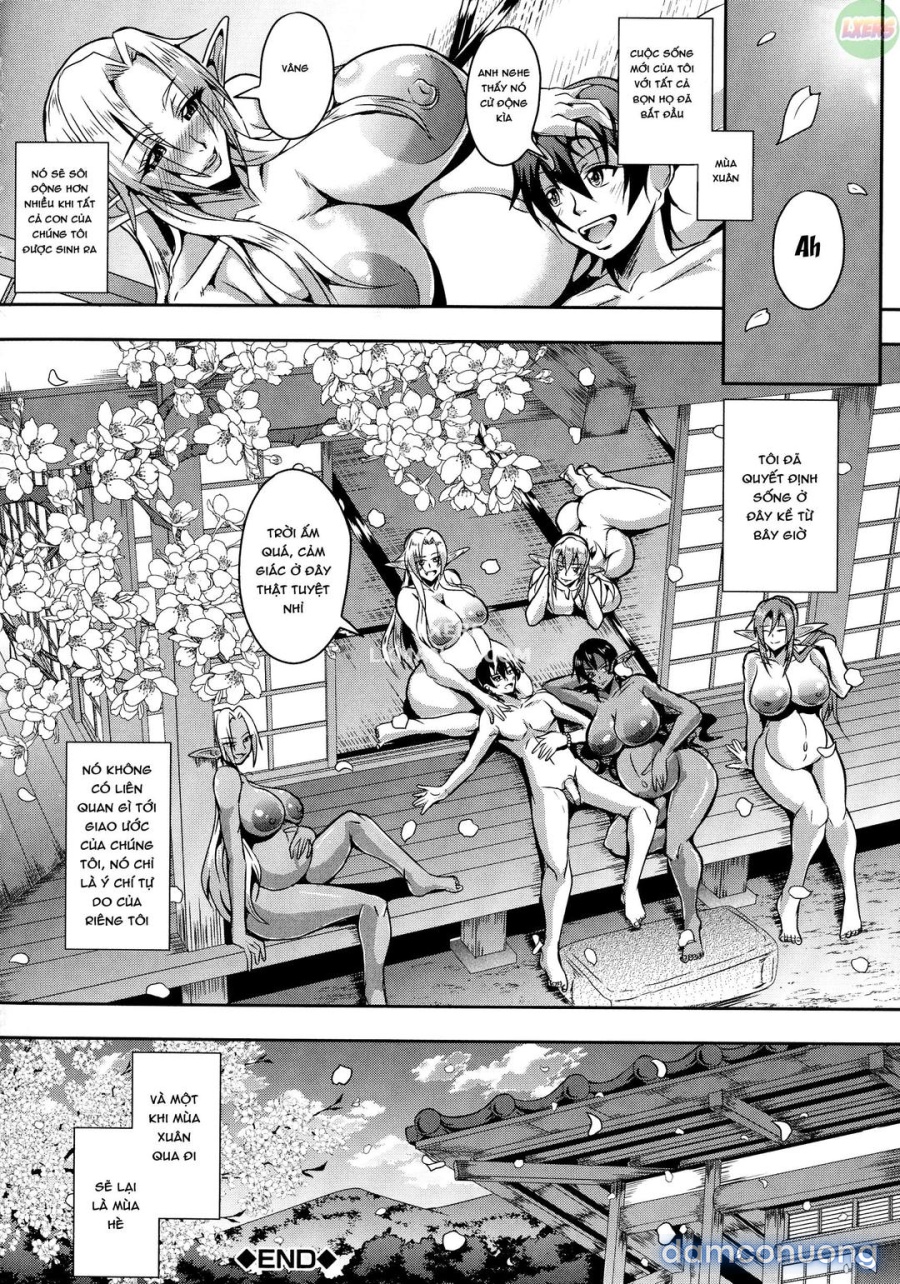 Elf Harem Story 