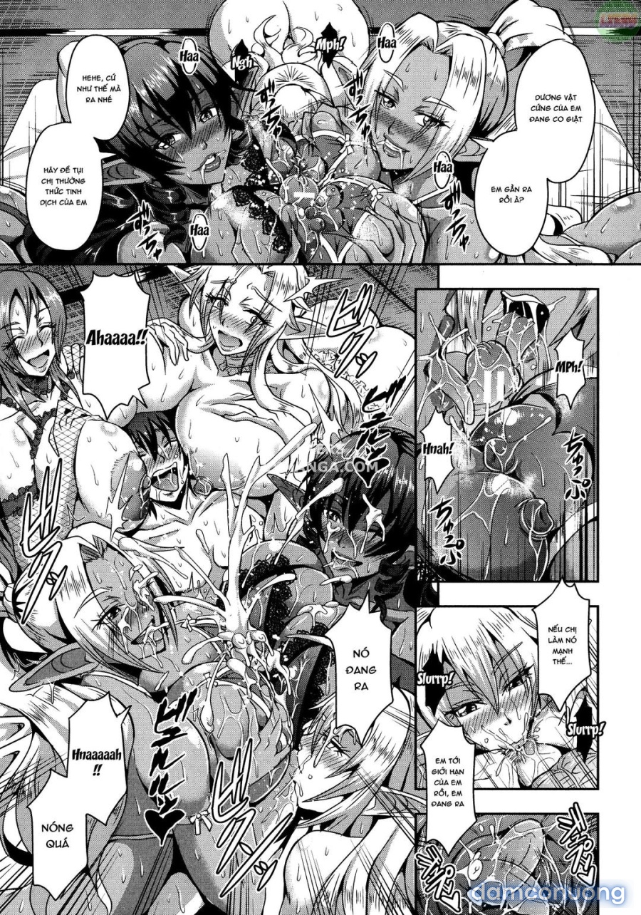 Elf Harem Story 