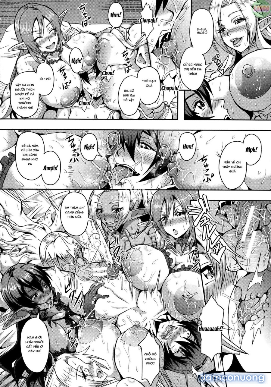Elf Harem Story 