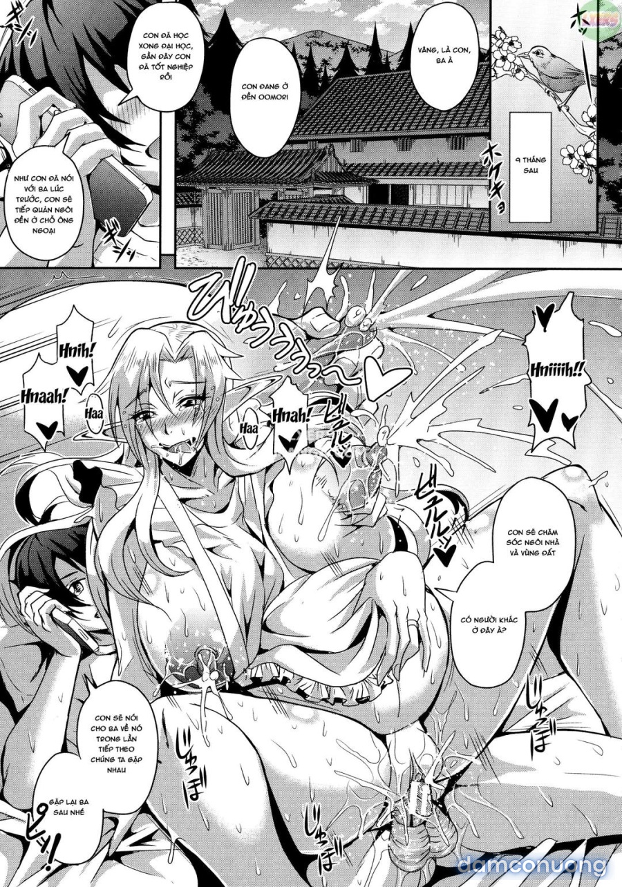 Elf Harem Story 