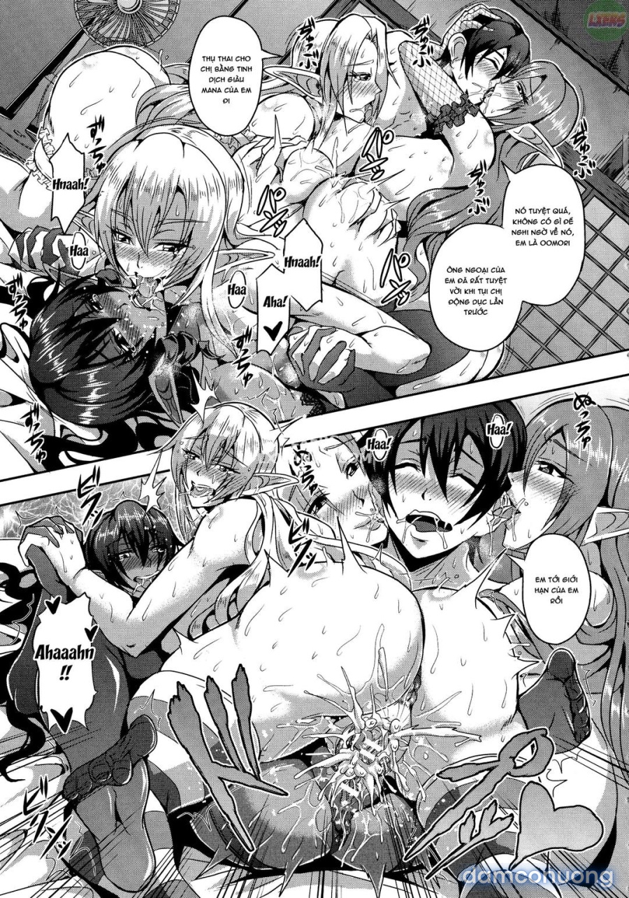 Elf Harem Story 