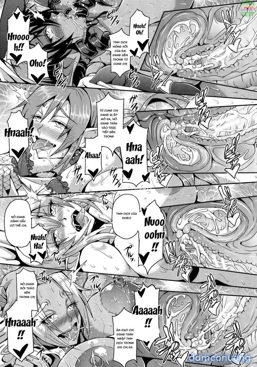 Elf Harem Story 