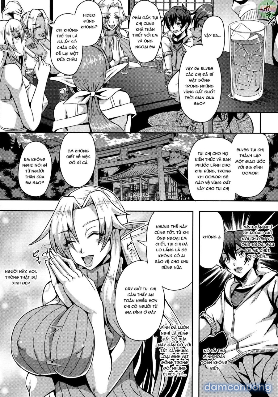 Elf Harem Story 