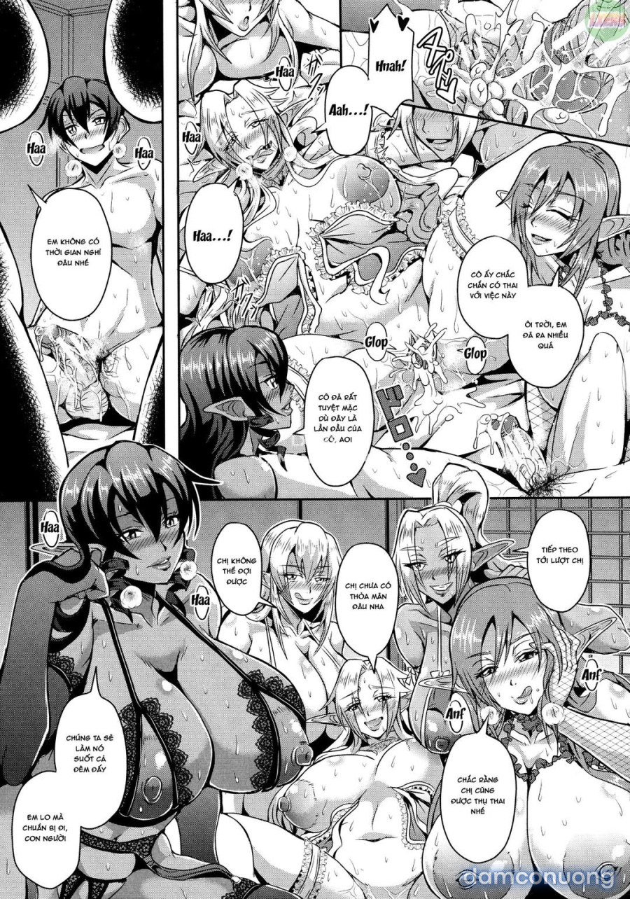 Elf Harem Story 