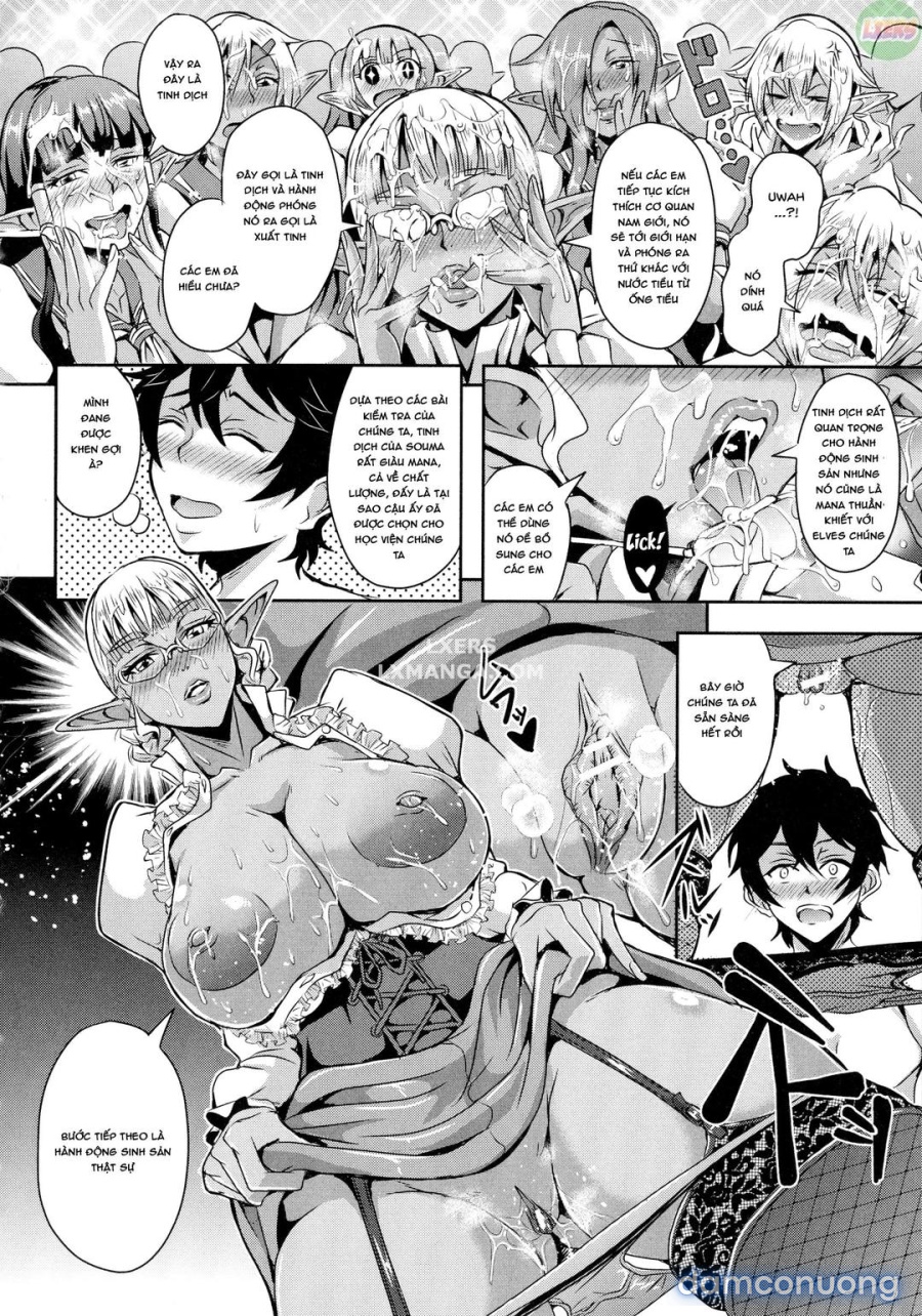 Elf Harem Story 