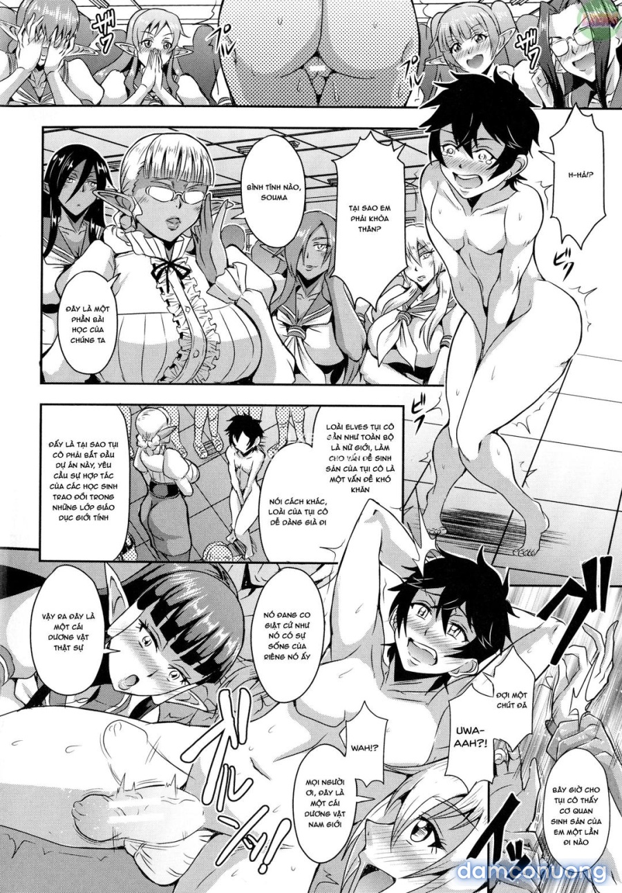 Elf Harem Story 