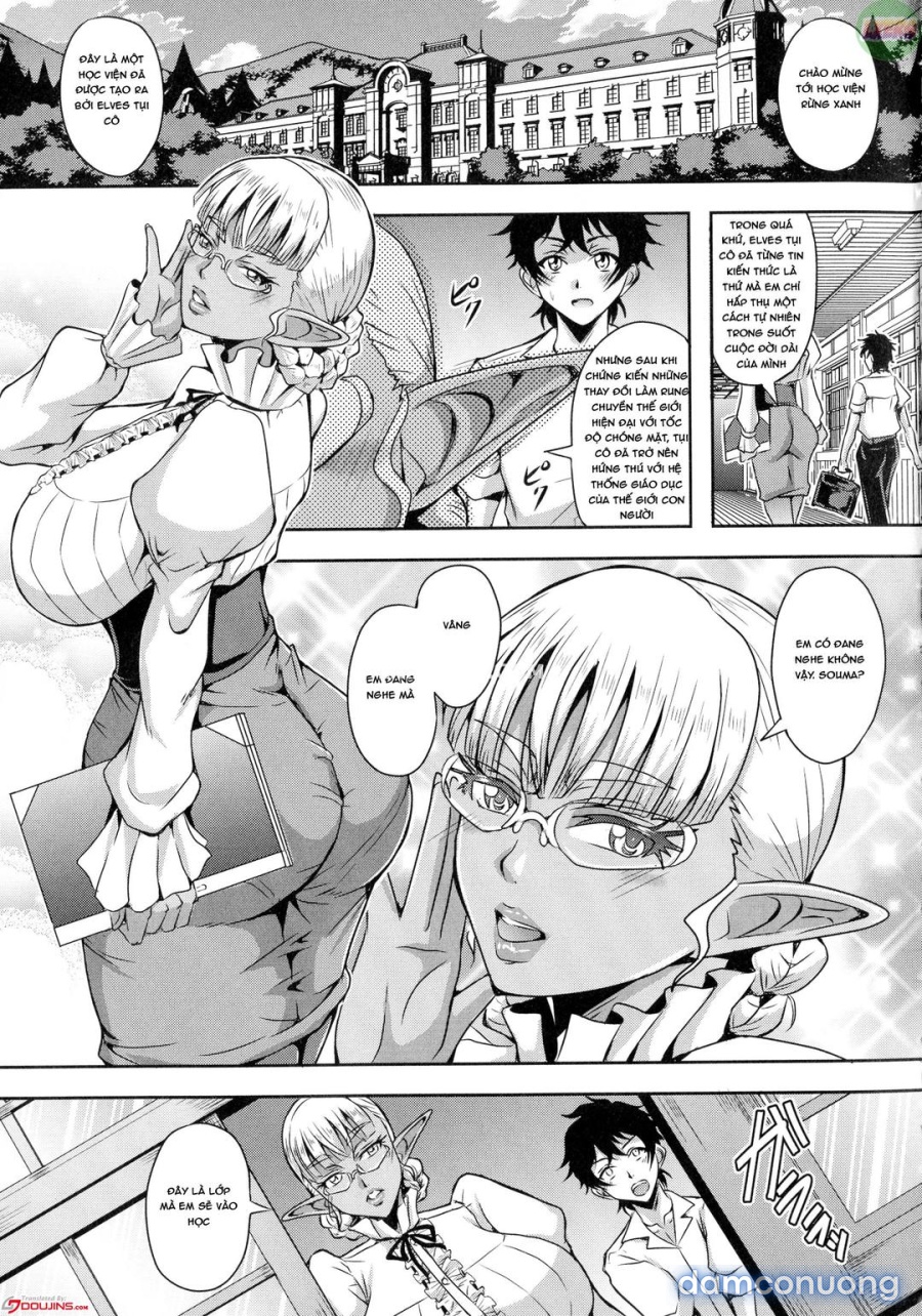 Elf Harem Story 