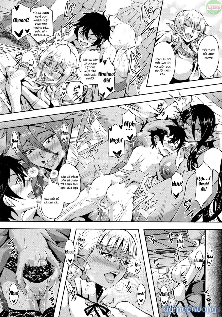 Elf Harem Story 