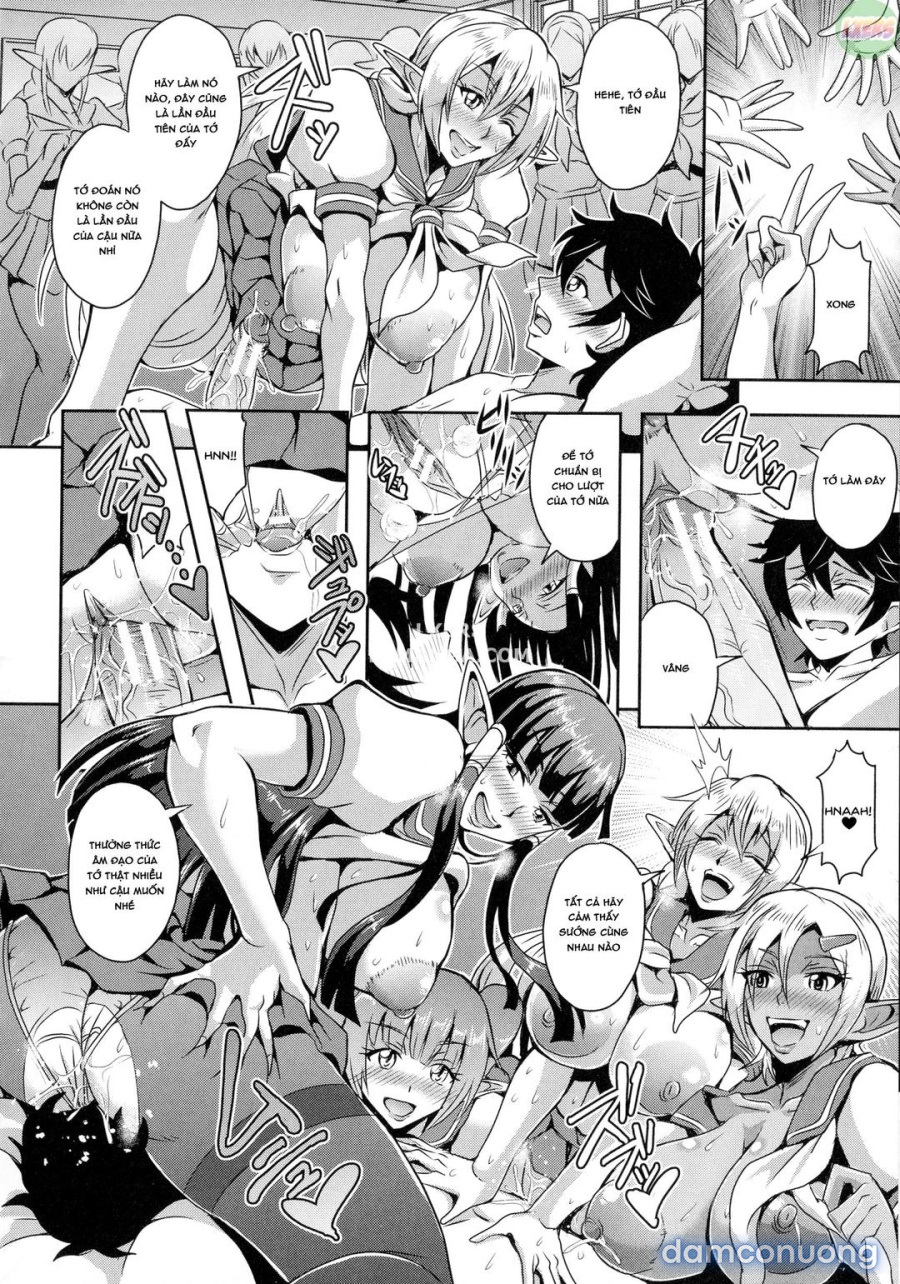Elf Harem Story 