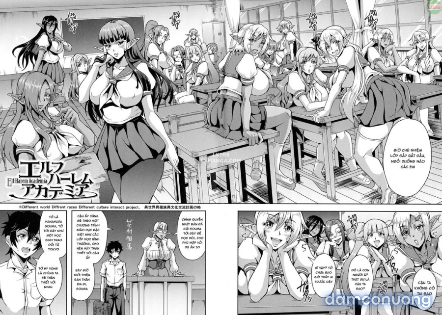 Elf Harem Story 