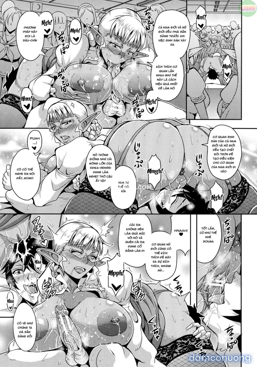 Elf Harem Story 