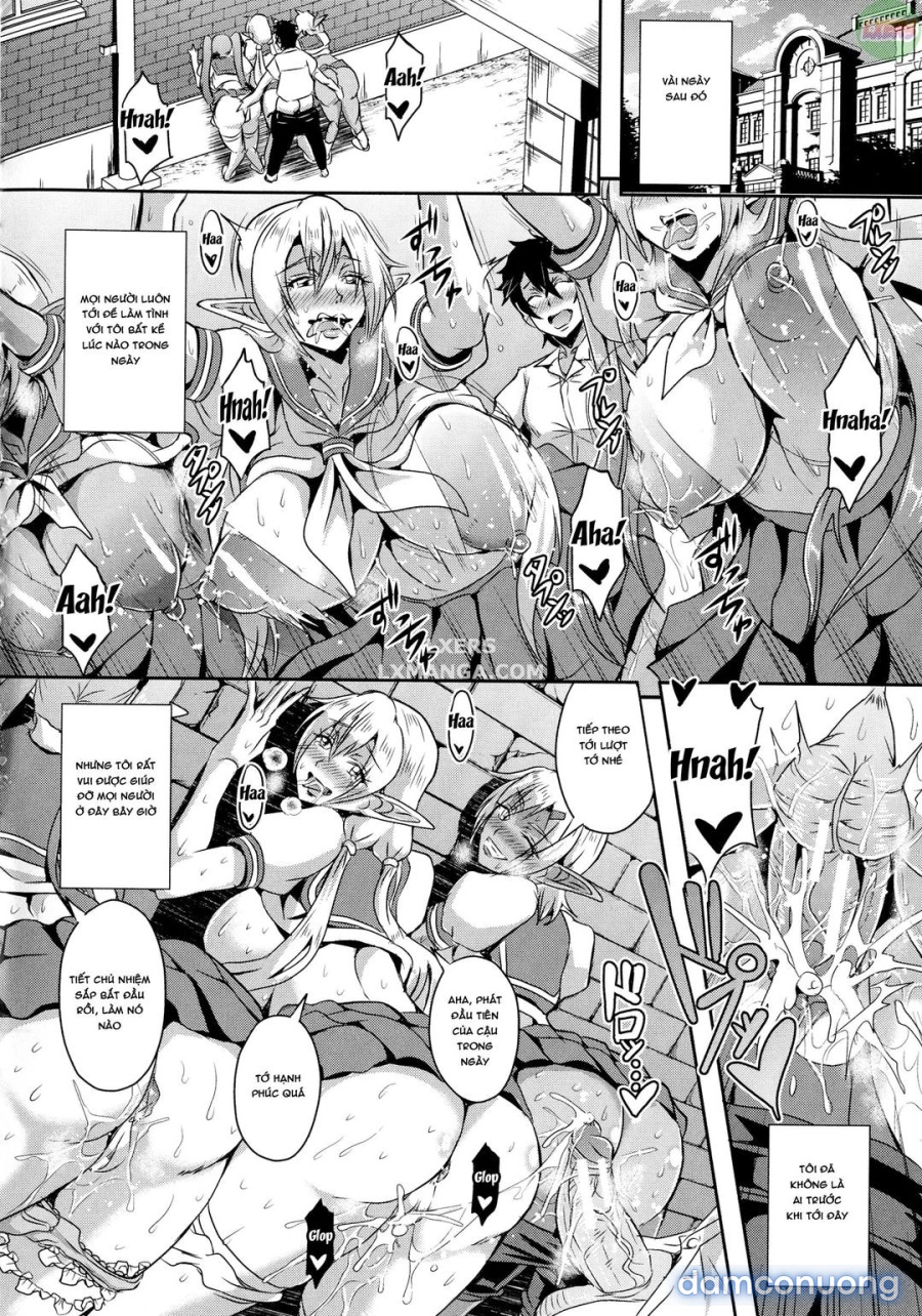Elf Harem Story 
