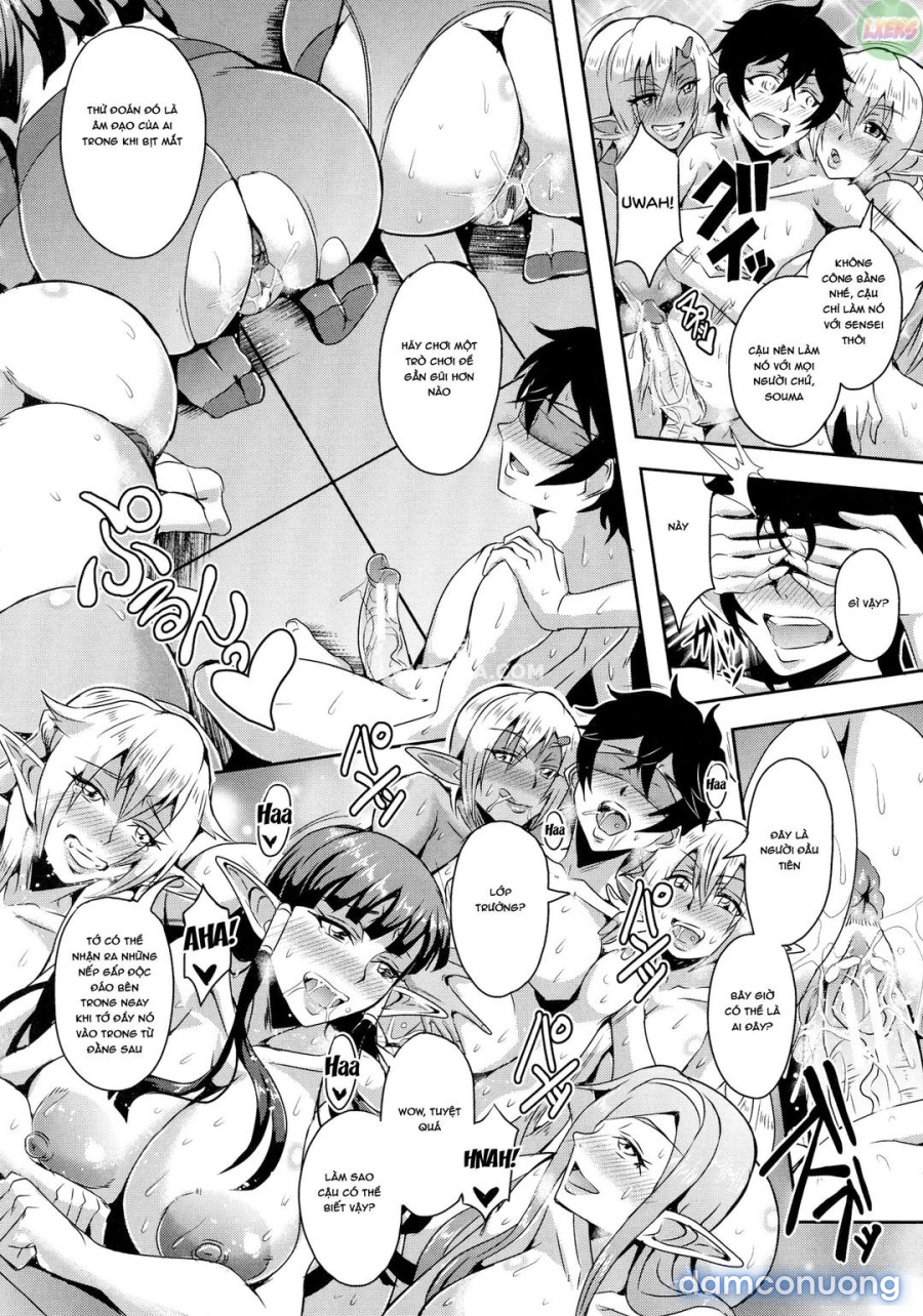 Elf Harem Story 