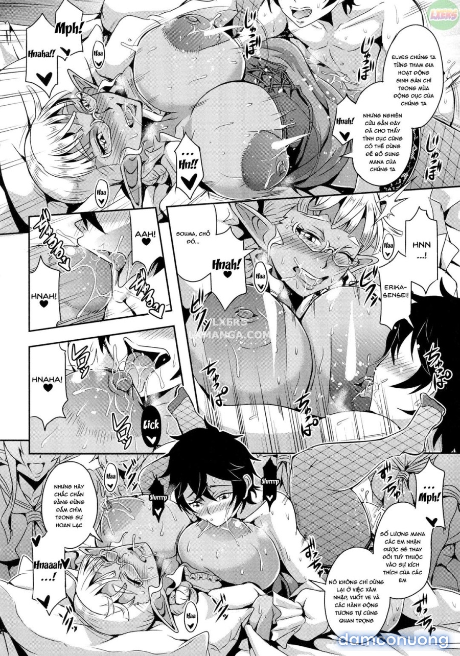 Elf Harem Story 