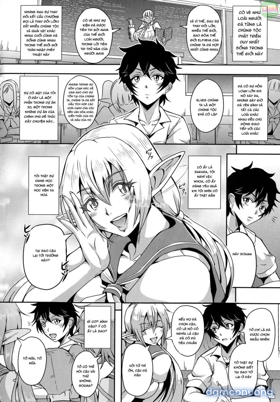 Elf Harem Story 