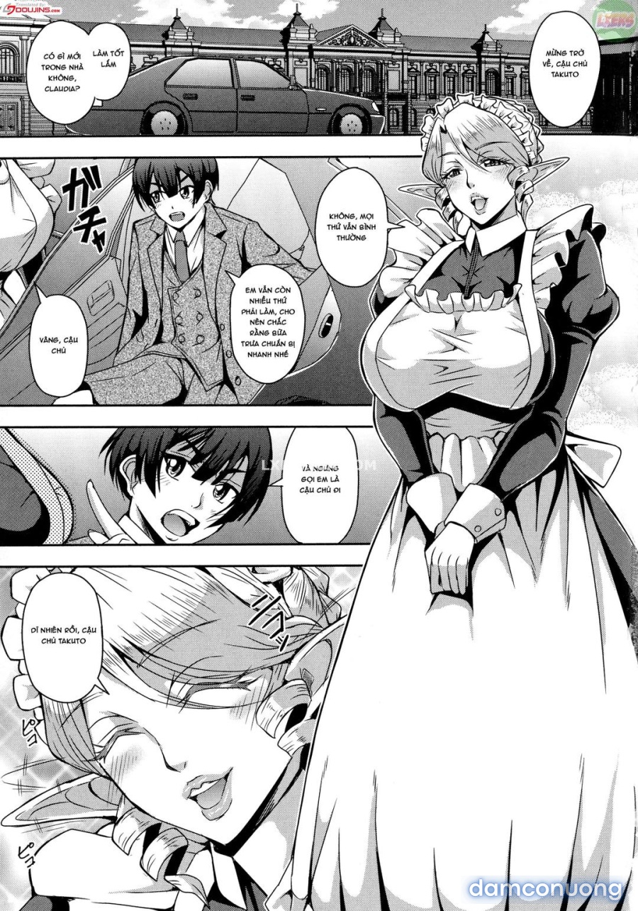 Elf Harem Story 