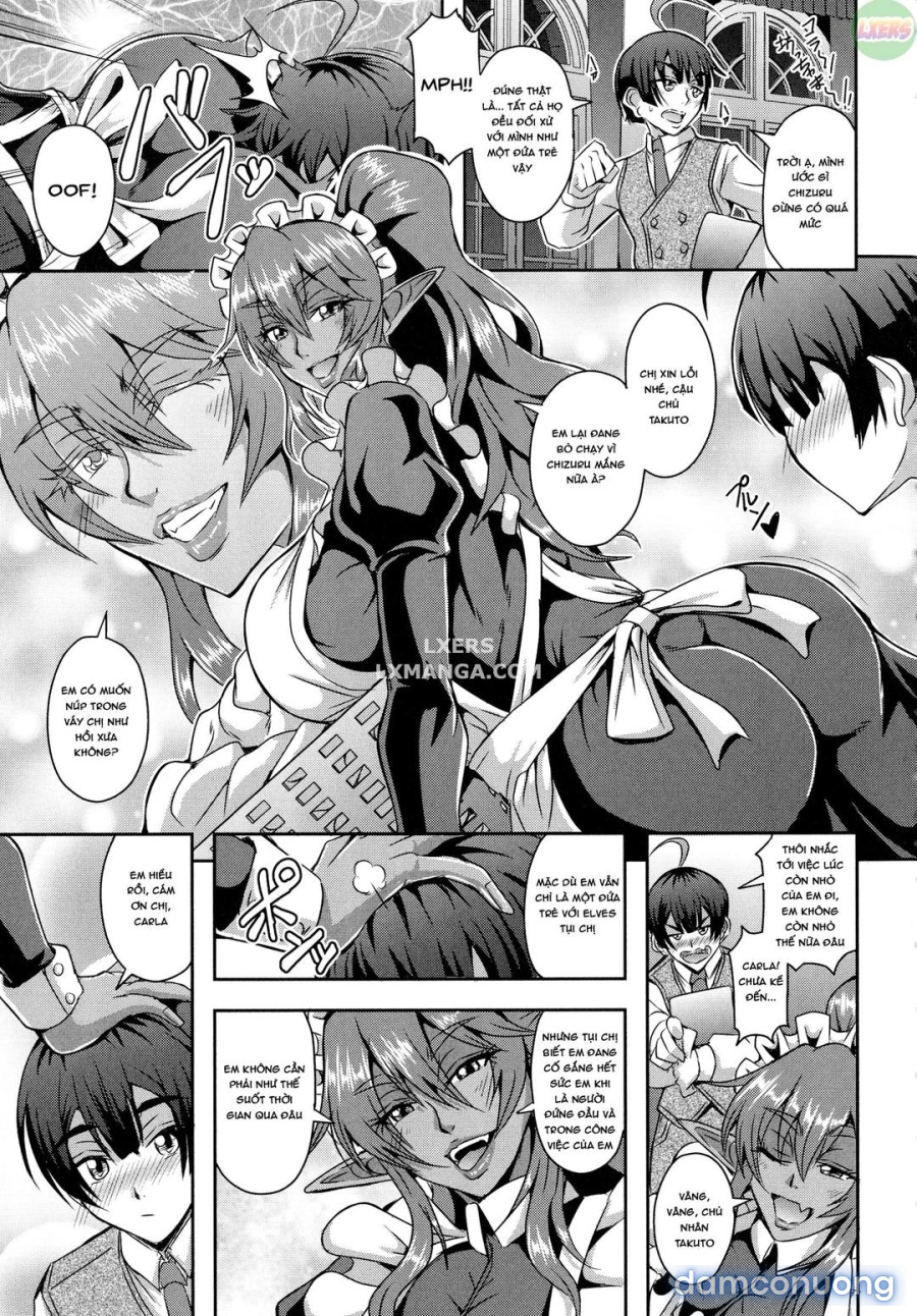 Elf Harem Story 