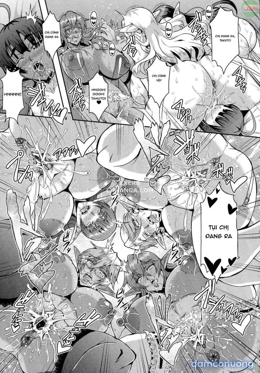 Elf Harem Story 