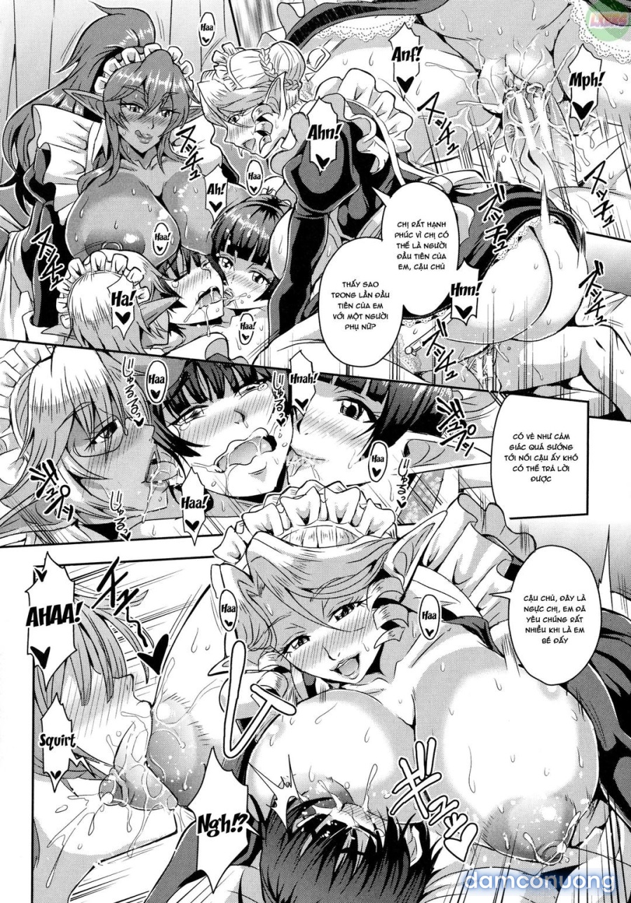 Elf Harem Story 