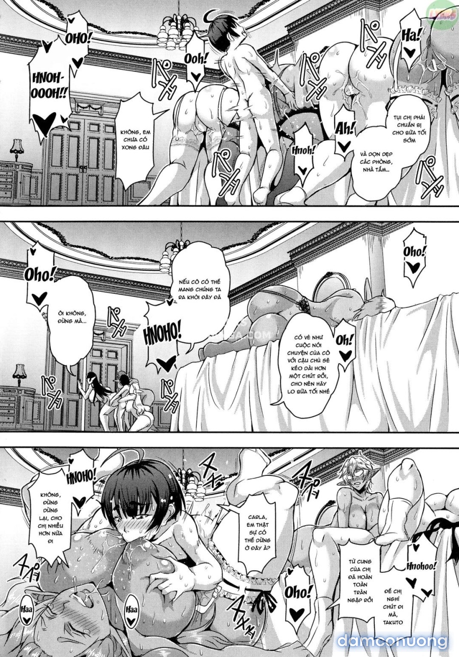 Elf Harem Story 