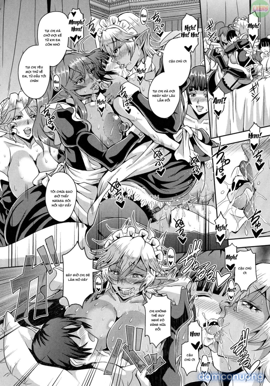 Elf Harem Story 