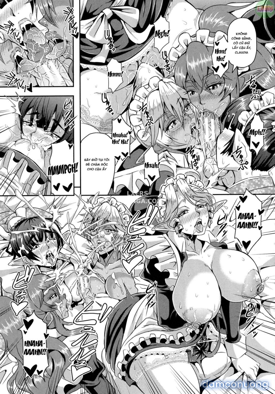 Elf Harem Story 