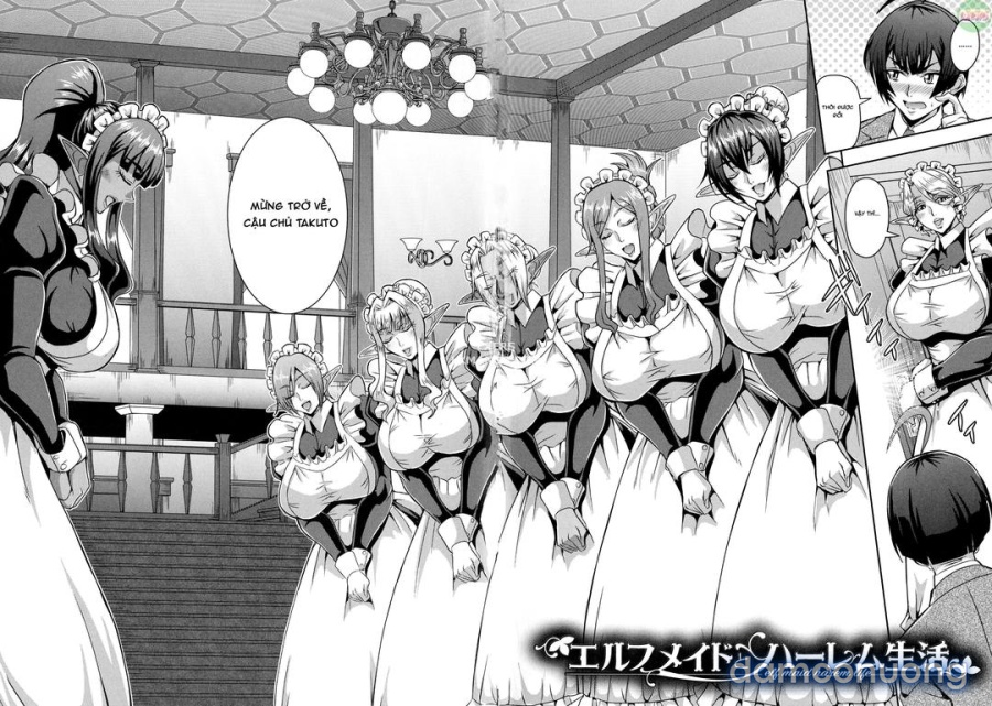 Elf Harem Story 