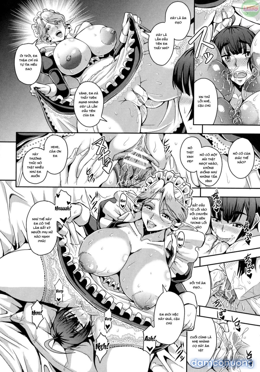 Elf Harem Story 