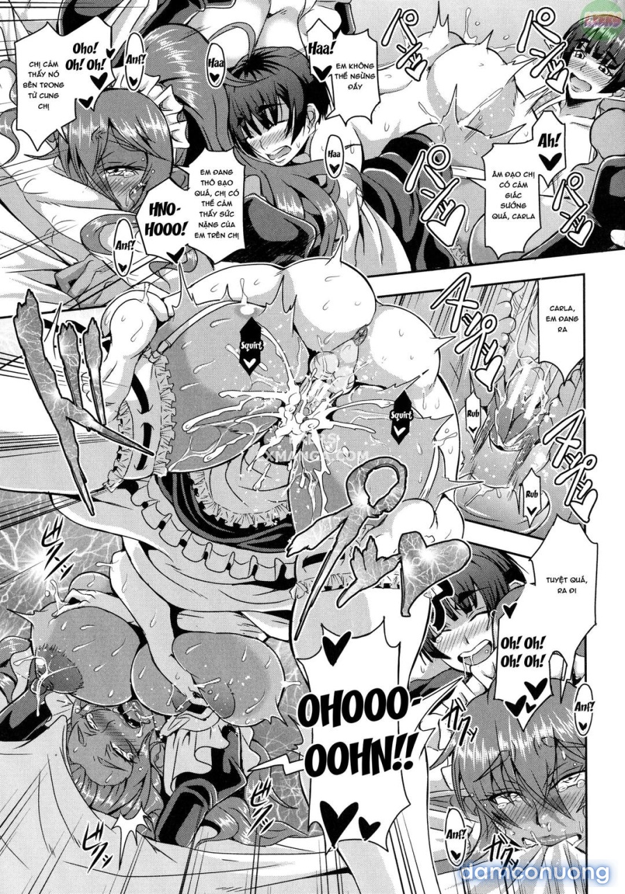 Elf Harem Story 