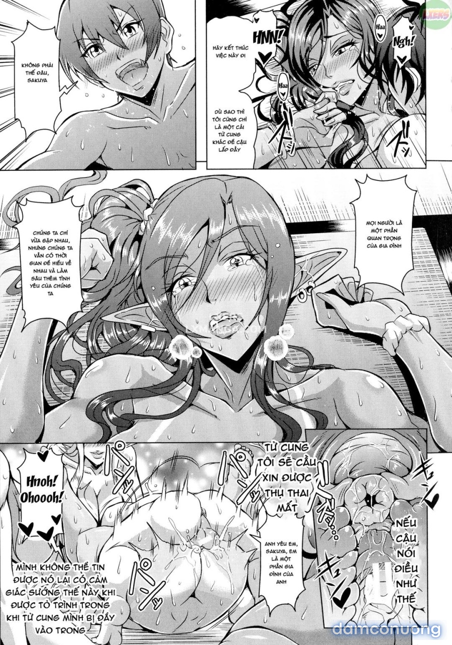Elf Harem Story 