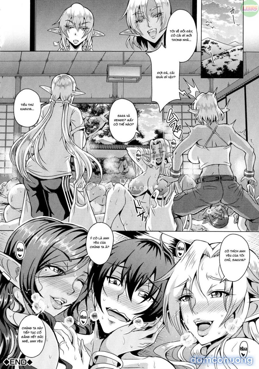 Elf Harem Story 