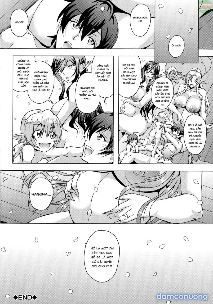 Elf Harem Story 