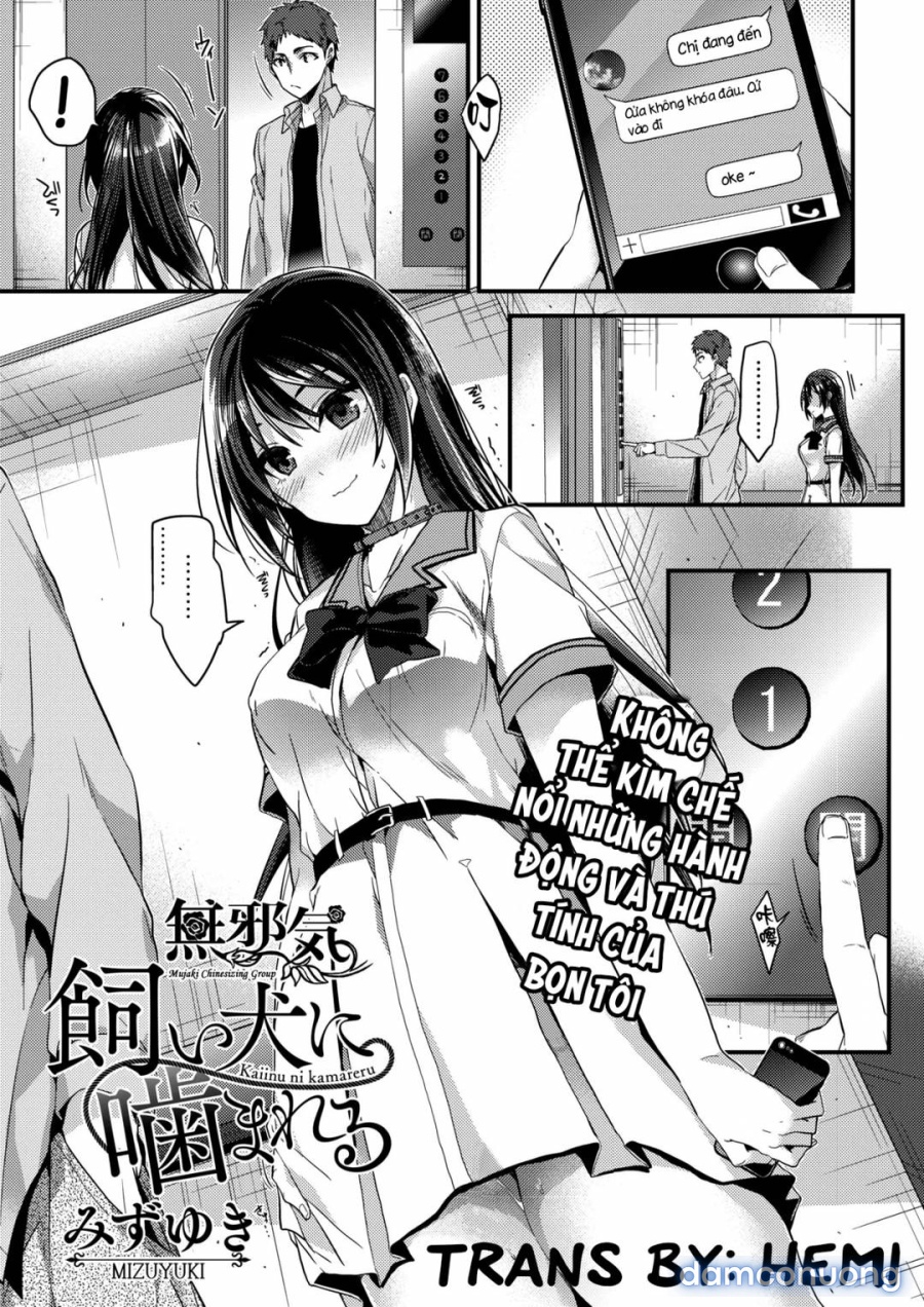 Kaiinu Ni Kameraru 