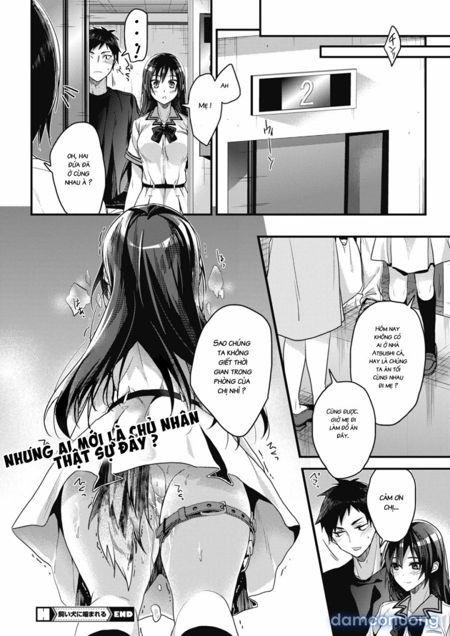 Kaiinu Ni Kameraru 