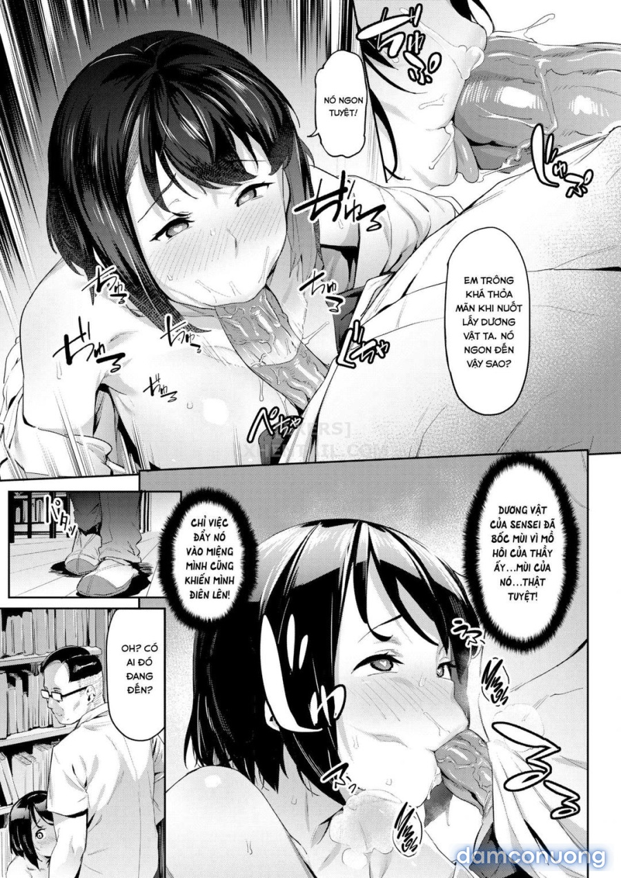 Senpai Yêu Dấu Của Tôi 